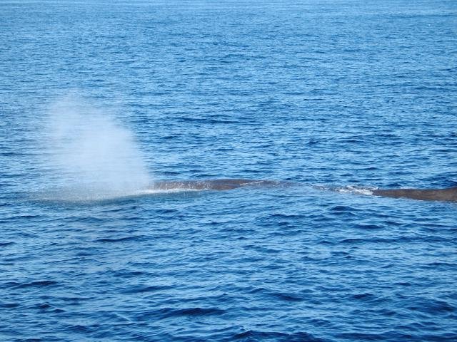 Urlaub in Norwegen 2006